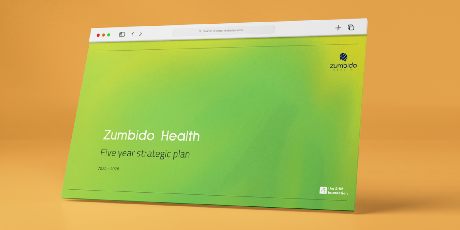 Zumbido Health Strategy (2024 -2028)